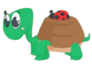 tutle
